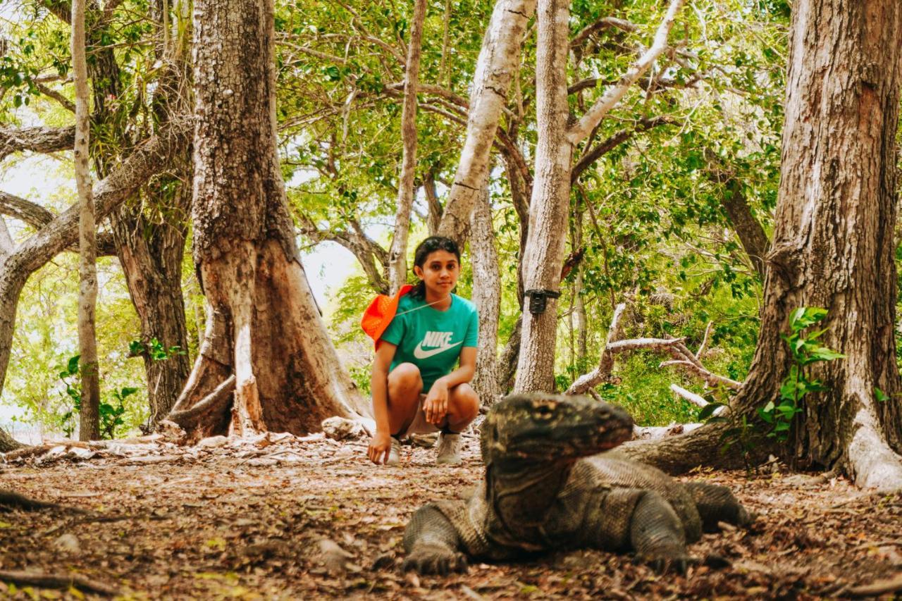 Komodoku One Love Homestay And Tour Labuan Bajo Exteriör bild