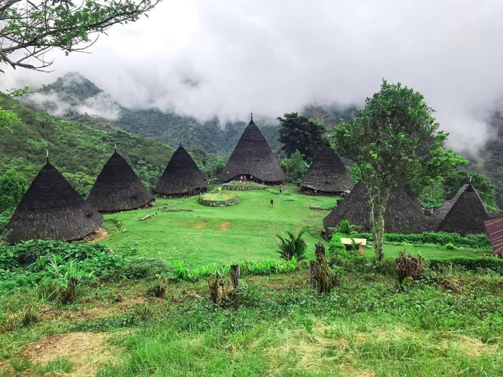 Komodoku One Love Homestay And Tour Labuan Bajo Exteriör bild
